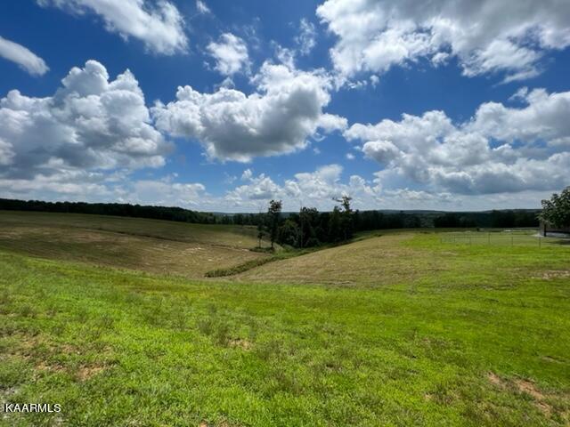 527 Blue Branch Road Grandview, TN 37337 - Photo 6 of 35 IMG_3194