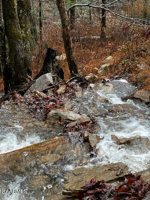 527 Blue Branch Road Grandview, TN 37337 - Photo 9 of 35 Creek medium