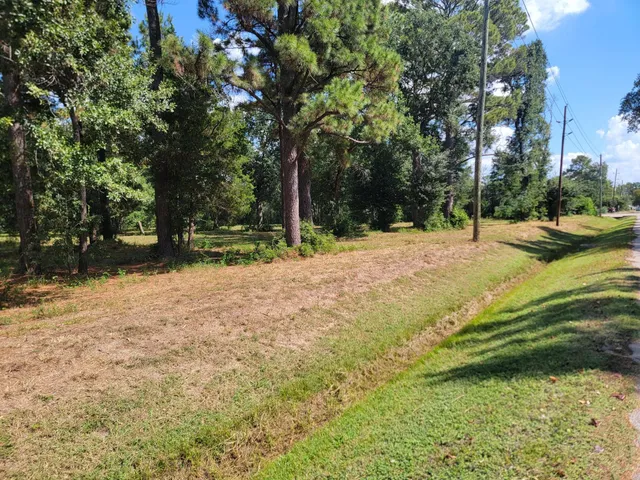a backyard of a house with lots of green space