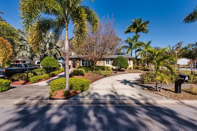 a view of a park with palm trees