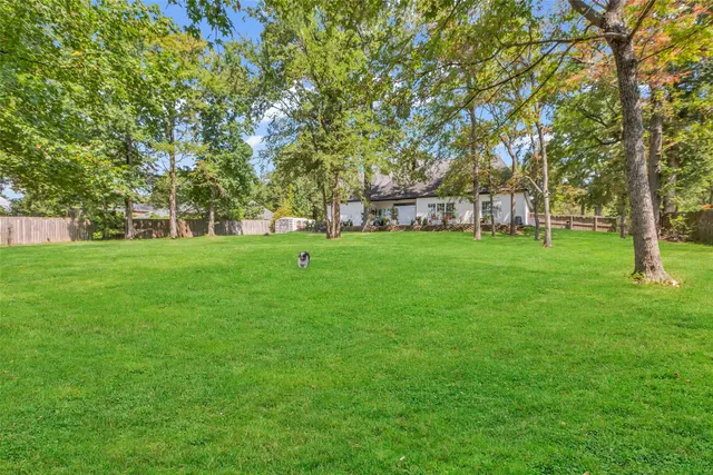 a view of a trees in a park