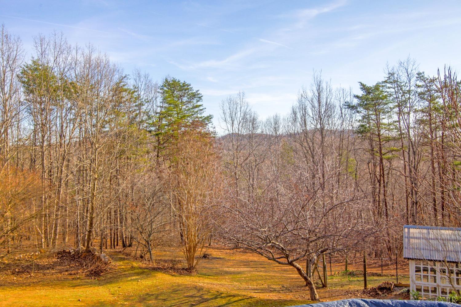 214 Cabin Road Madison Heights, VA 24572 - Photo 41 of 74 Gallery Image 41