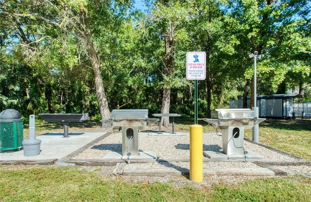 a view of a park with large trees