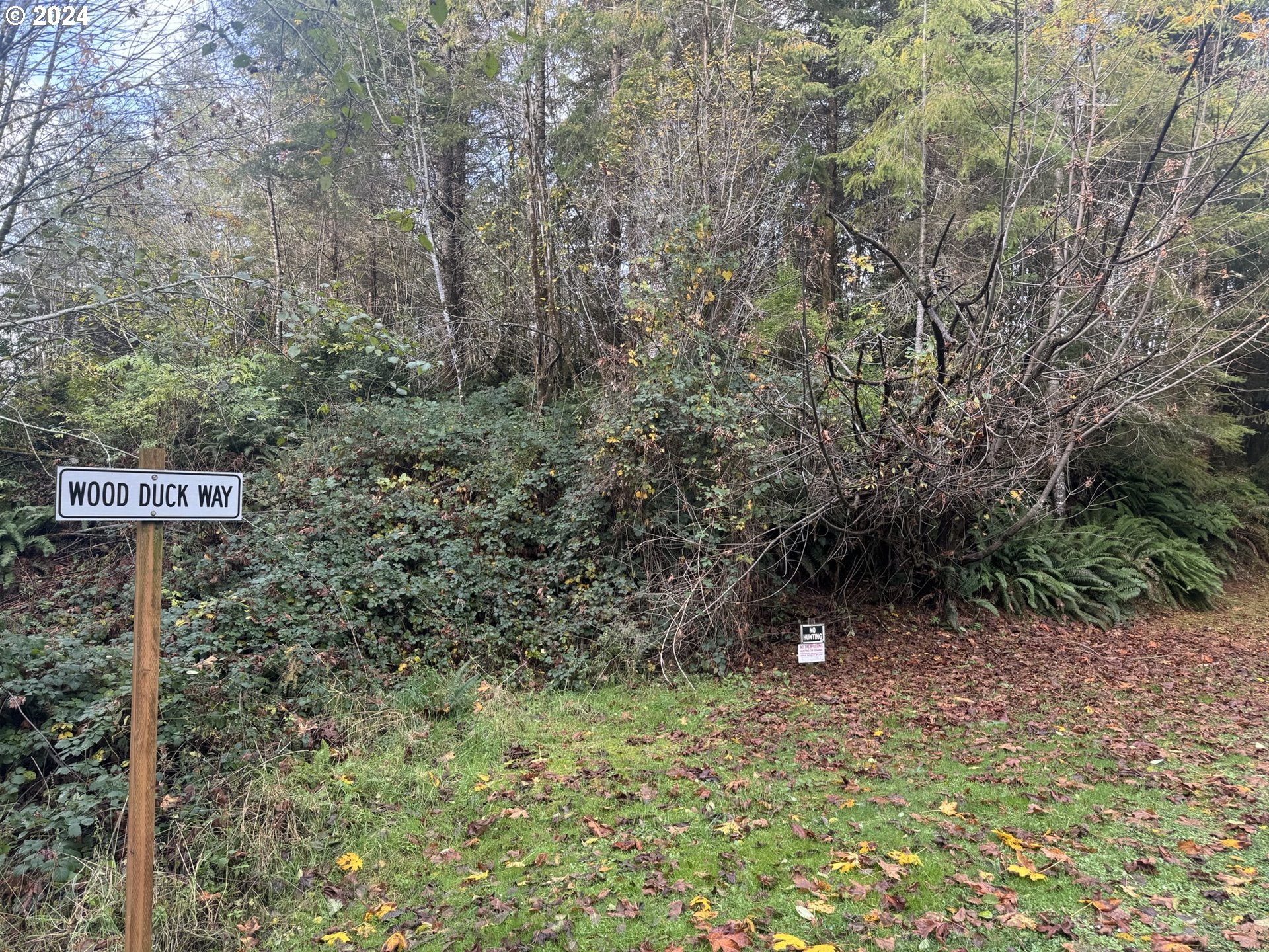 0 Potato Bottom Road, Unit 603 Lakeside, OR 97449 - Photo 18 of 27