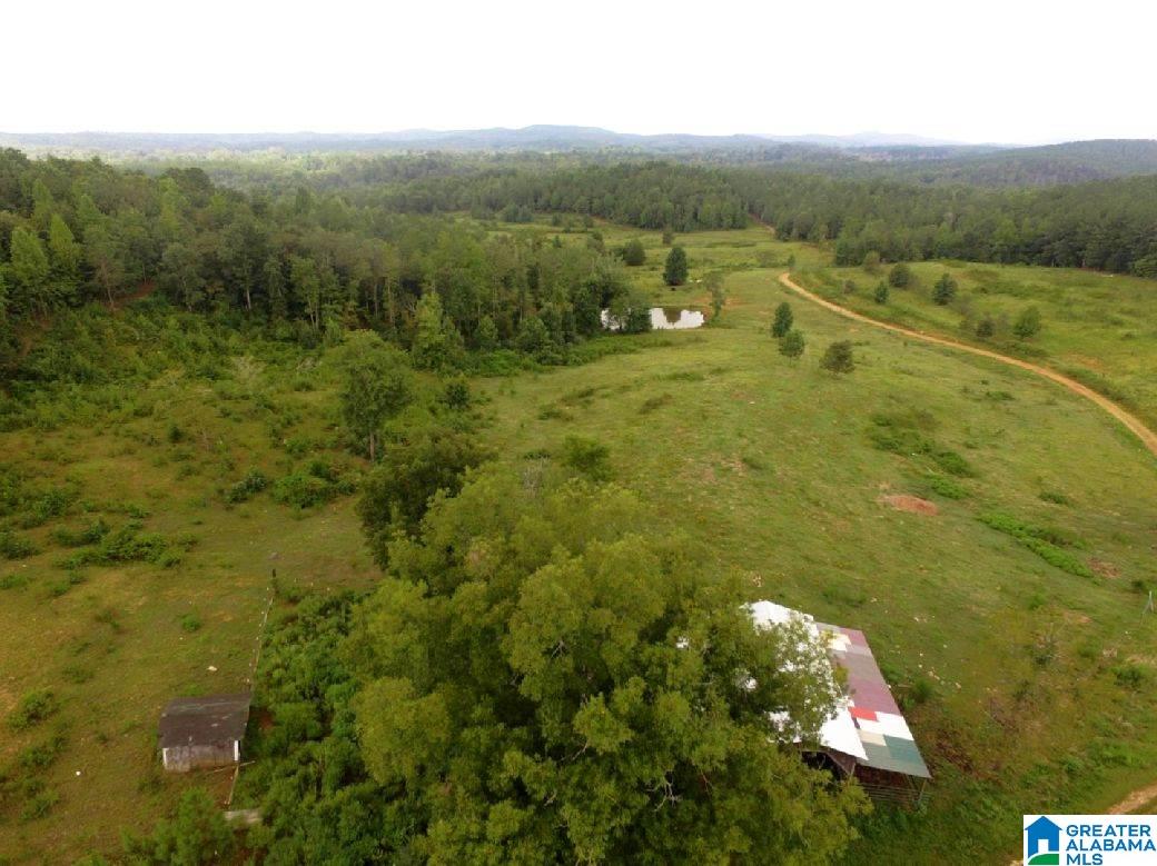 796 Alawashky Road, Unit 46 ACRES Ashland, AL 36251 - Photo 10 of 17
