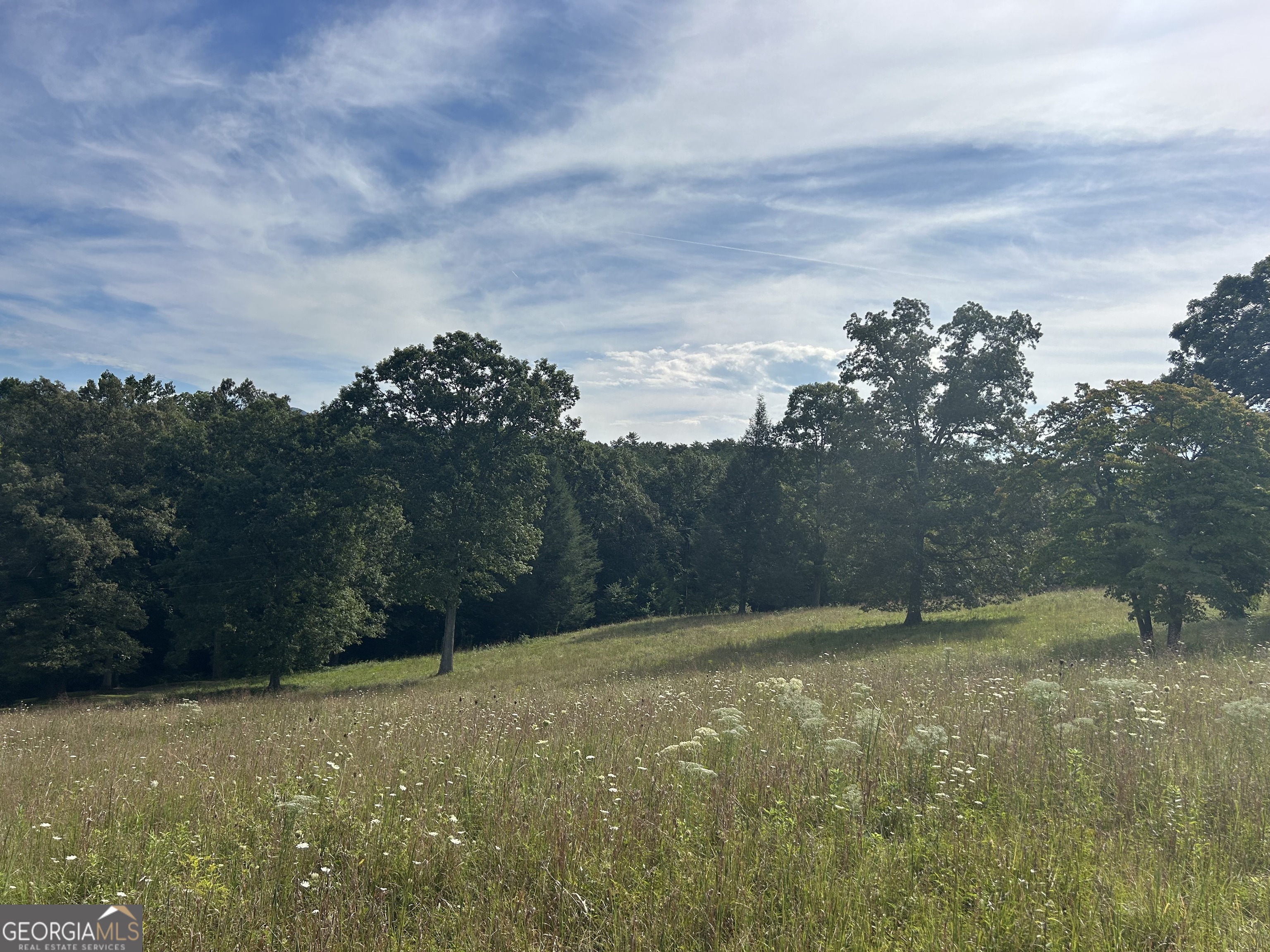 8-ac Jimmy Nicholson Road Blairsville, GA 30512 - Photo 13 of 17 a view of outdoor space and yard
