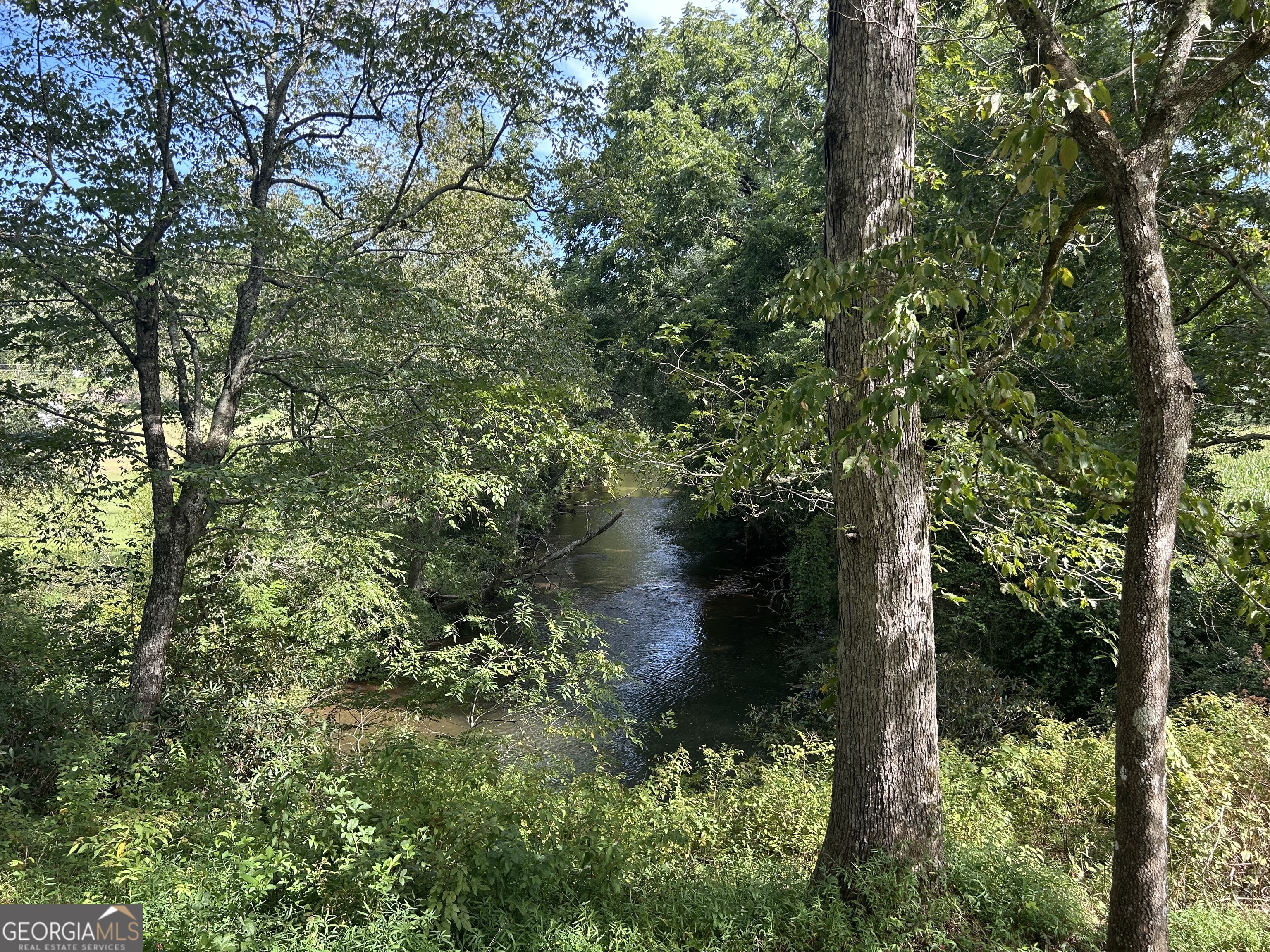 8-ac Jimmy Nicholson Road Blairsville, GA 30512 - Photo 17 of 17 a view of a forest