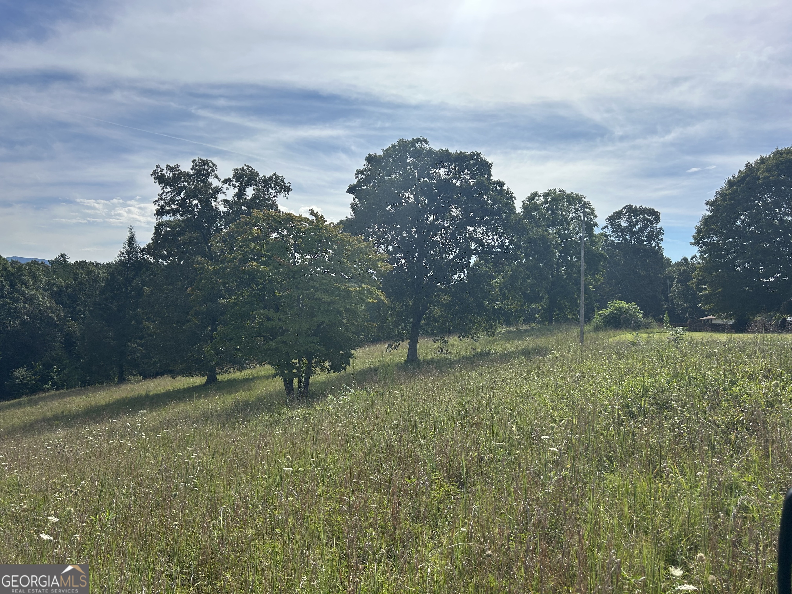 8-ac Jimmy Nicholson Road Blairsville, GA 30512 - Photo 5 of 17 a view of a green field with lots of trees