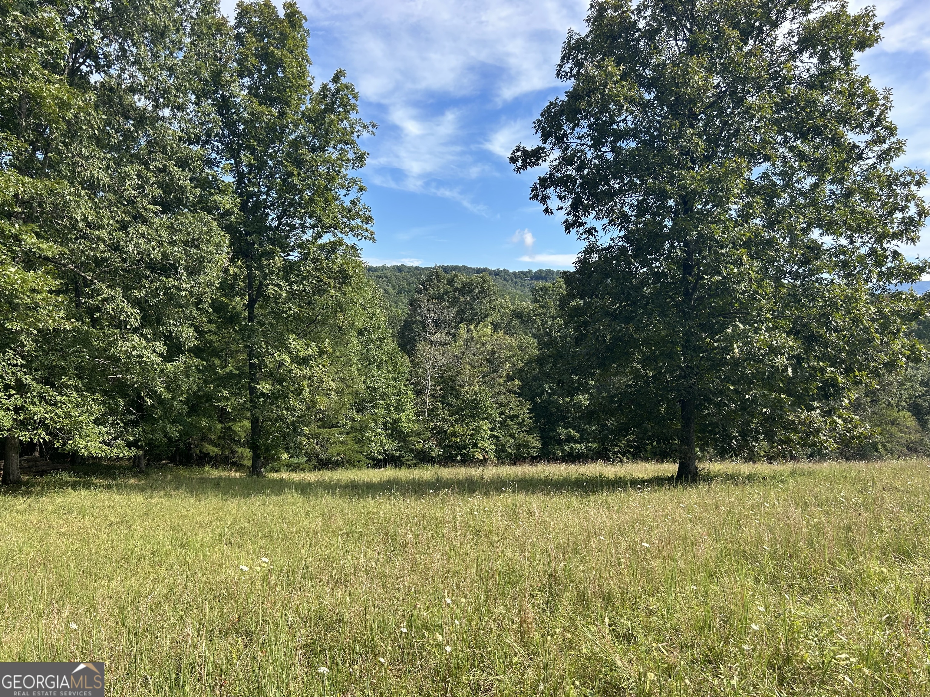 8-ac Jimmy Nicholson Road Blairsville, GA 30512 - Photo 6 of 17 a view of outdoor space with swimming pool
