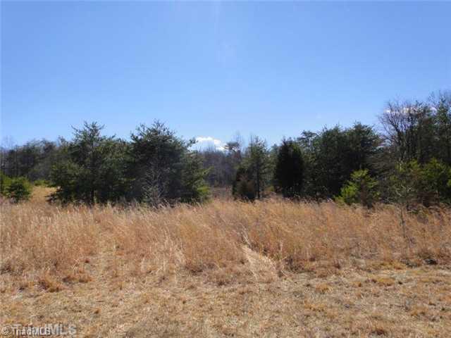 241 A Dan River Road Madison, NC 27025 - Photo 1 of 16 Land.