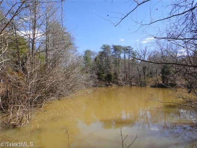 241 A Dan River Road Madison, NC 27025 - Photo 11 of 16 Land.