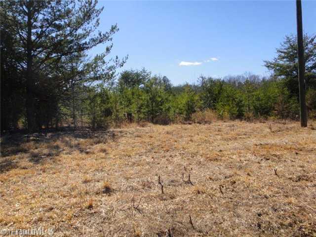 241 A Dan River Road Madison, NC 27025 - Photo 5 of 16 Land.