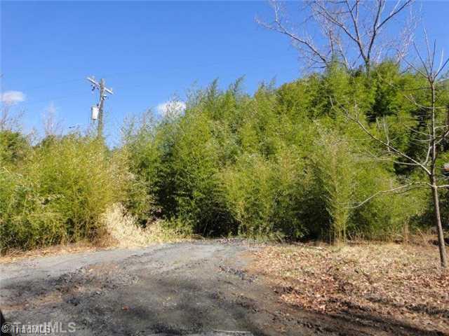 241 A Dan River Road Madison, NC 27025 - Photo 6 of 16 Land.