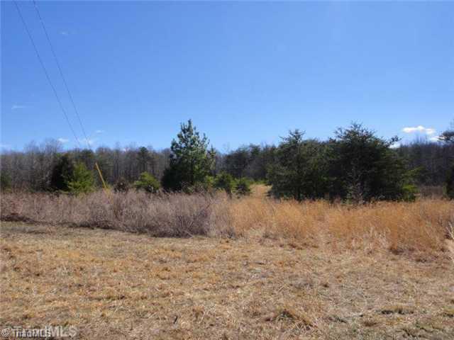 241 A Dan River Road Madison, NC 27025 - Photo 7 of 16 Land.