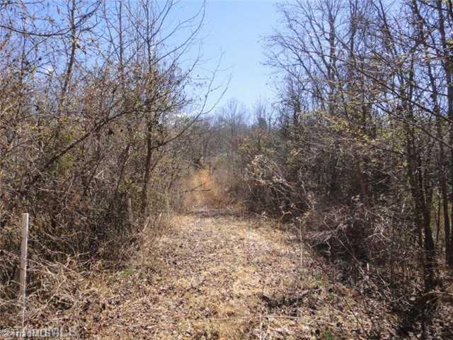 241 A Dan River Road Madison, NC 27025 - Photo 10 of 16 Land.