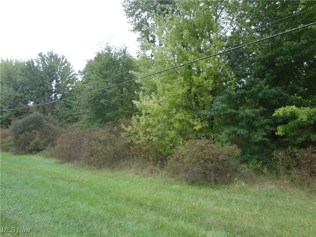 Ellsworth Bailey Road Warren, OH 44481 - Photo 6 of 7 Gallery Image 6