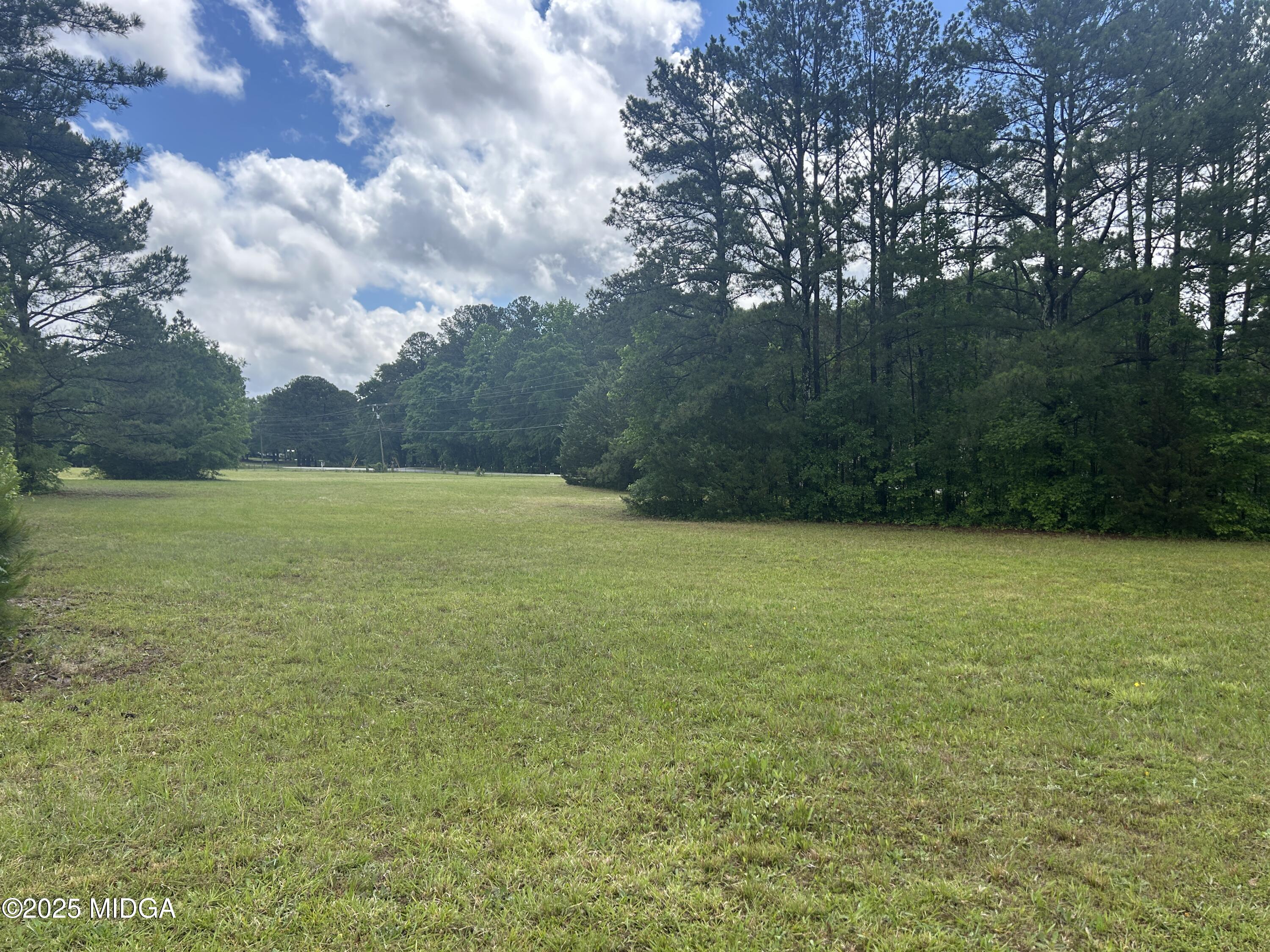 1627 Leguin Mill Road Locust Grove, GA 30248 - Photo 13 of 49 a view of a yard with a tree