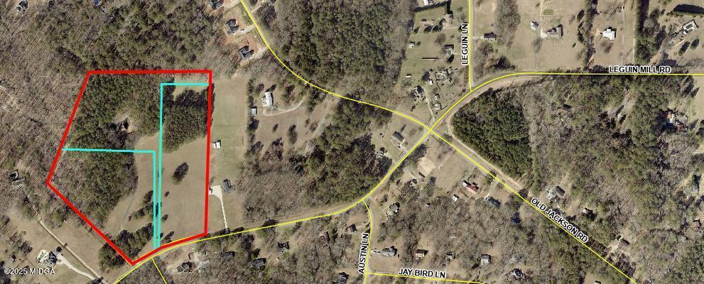 1627 Leguin Mill Road Locust Grove, GA 30248 - Photo 44 of 49 Entire Property outined in RED
