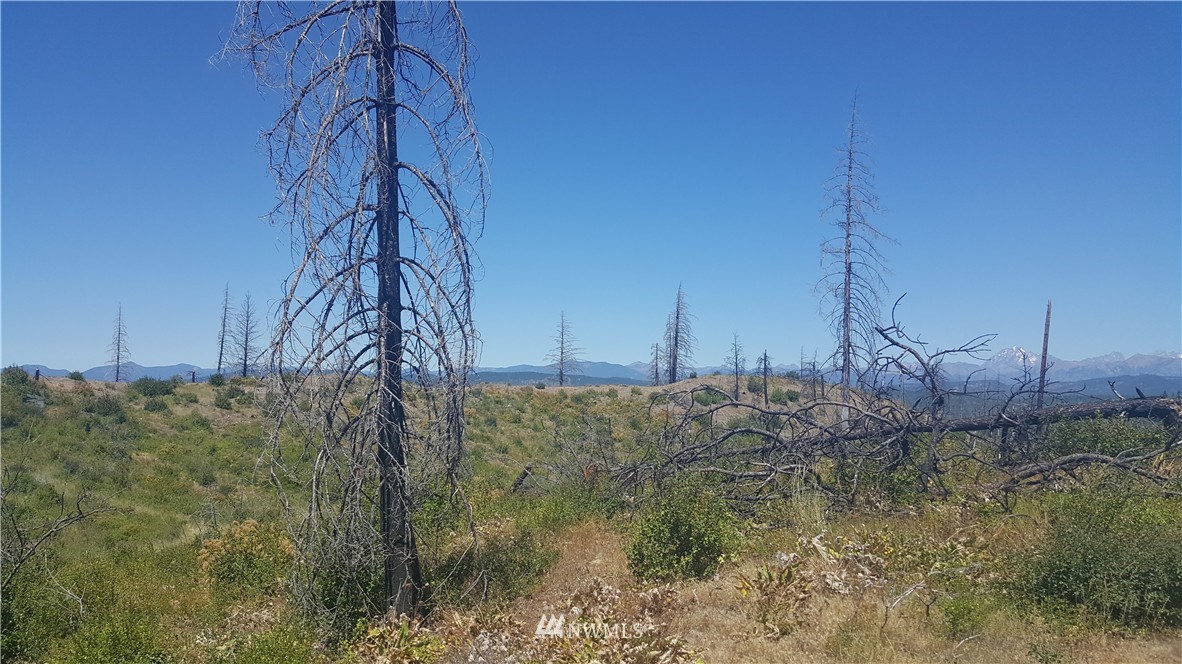 -xxx Durango Road Cle Elum, WA 98922 - Photo 12 of 16 Gallery Image 12