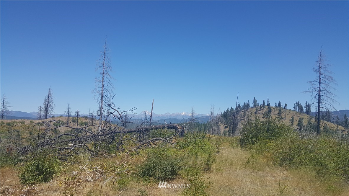 -xxx Durango Road Cle Elum, WA 98922 - Photo 13 of 16 Gallery Image 13