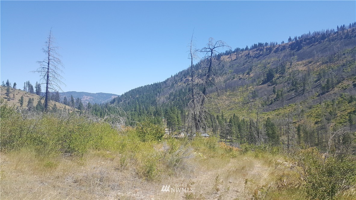 -xxx Durango Road Cle Elum, WA 98922 - Photo 14 of 16 Gallery Image 14
