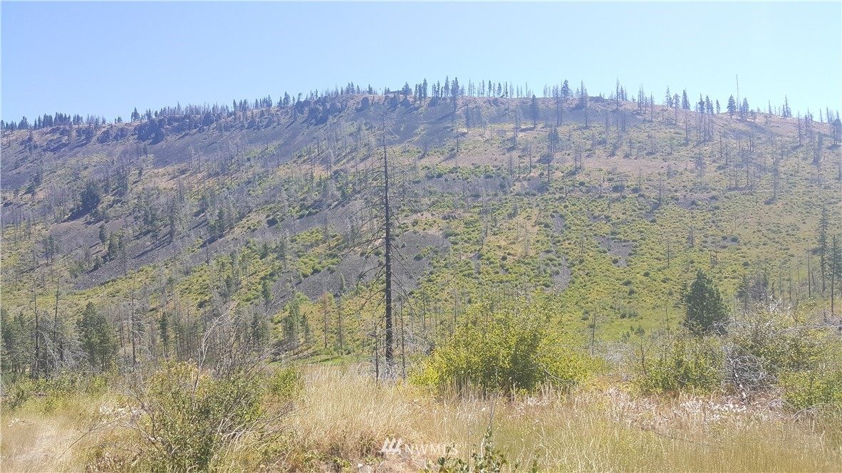-xxx Durango Road Cle Elum, WA 98922 - Photo 15 of 16 Gallery Image 15