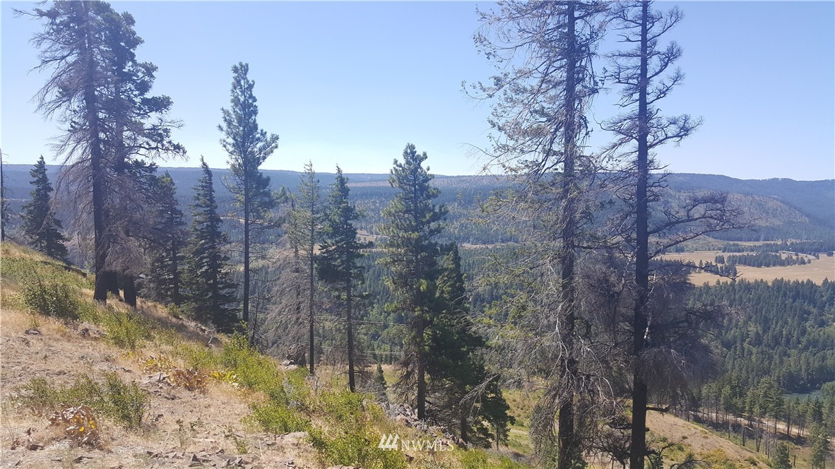 -xxx Durango Road Cle Elum, WA 98922 - Photo 16 of 16 Gallery Image 16