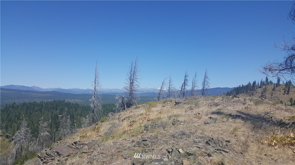 -xxx Durango Road Cle Elum, WA 98922 - Photo 3 of 16 Gallery Image 3