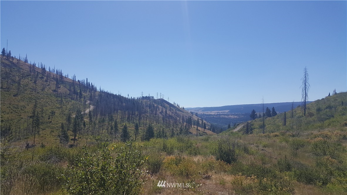 -xxx Durango Road Cle Elum, WA 98922 - Photo 4 of 16 Gallery Image 4