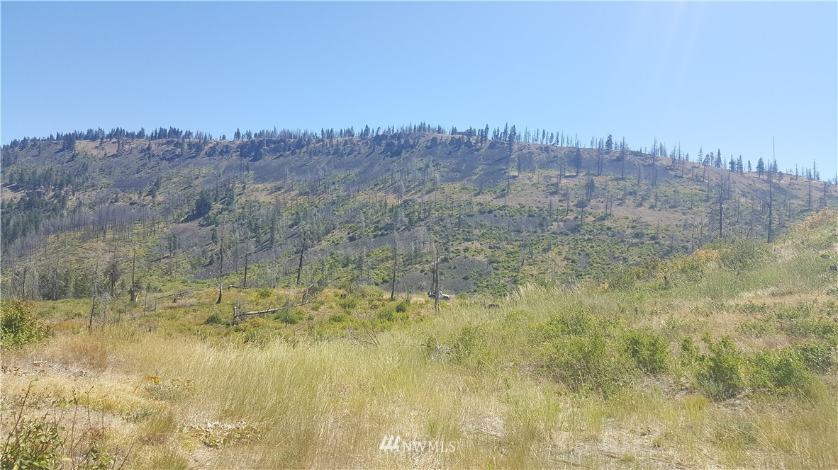 -xxx Durango Road Cle Elum, WA 98922 - Photo 8 of 16 Gallery Image 8