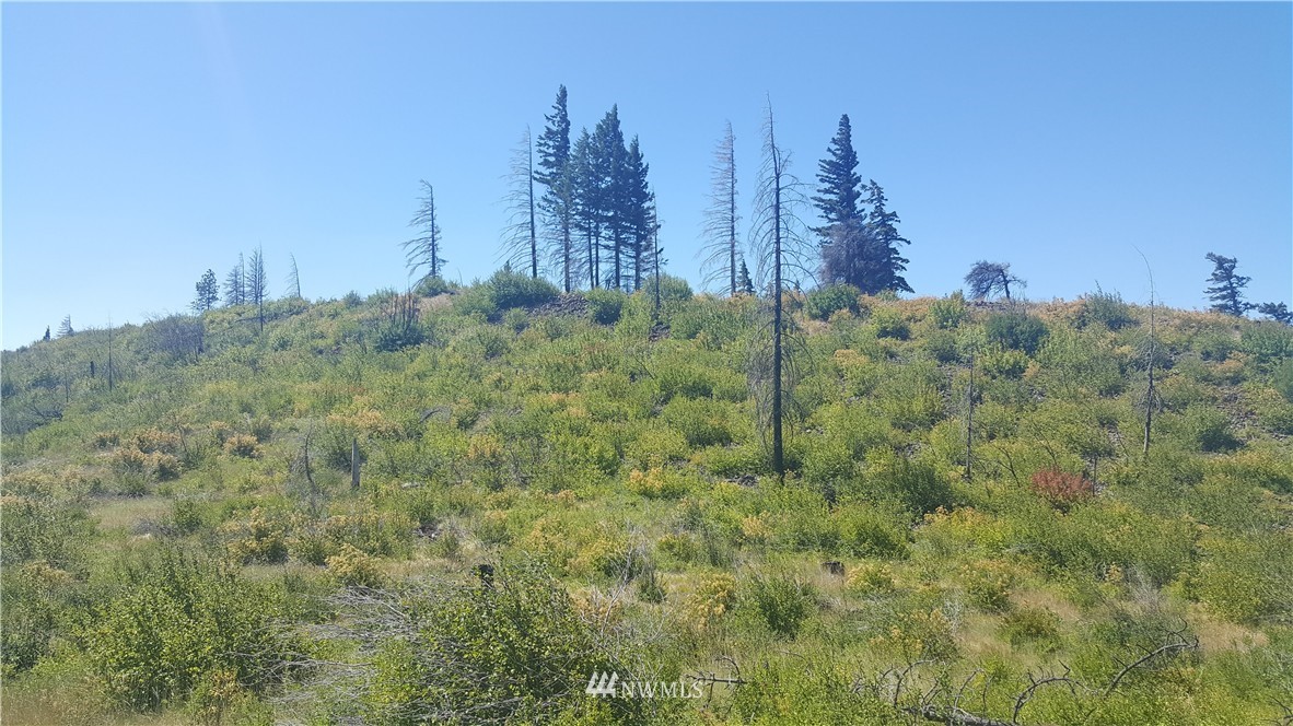 -xxx Durango Road Cle Elum, WA 98922 - Photo 10 of 16 Gallery Image 10