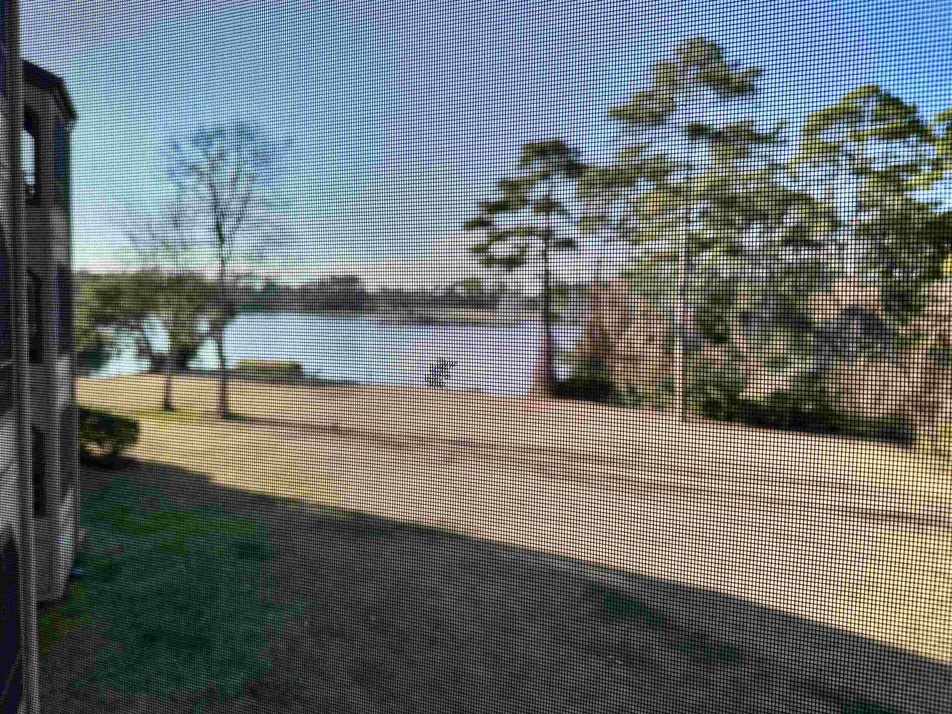 501 Maison Drive, Unit C9 Myrtle Beach, SC 29572 - Photo 2 of 27 View of yard with a water view