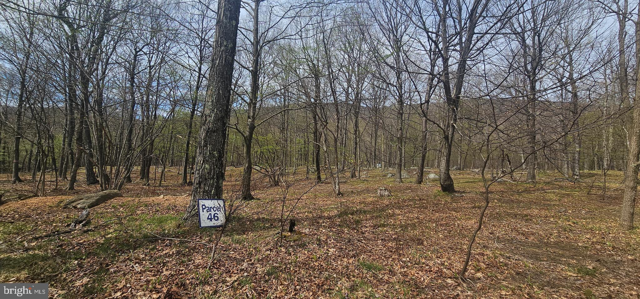 Goldenseal Road Maysville, WV 26833 - Photo 27 of 34 Gallery Image 27