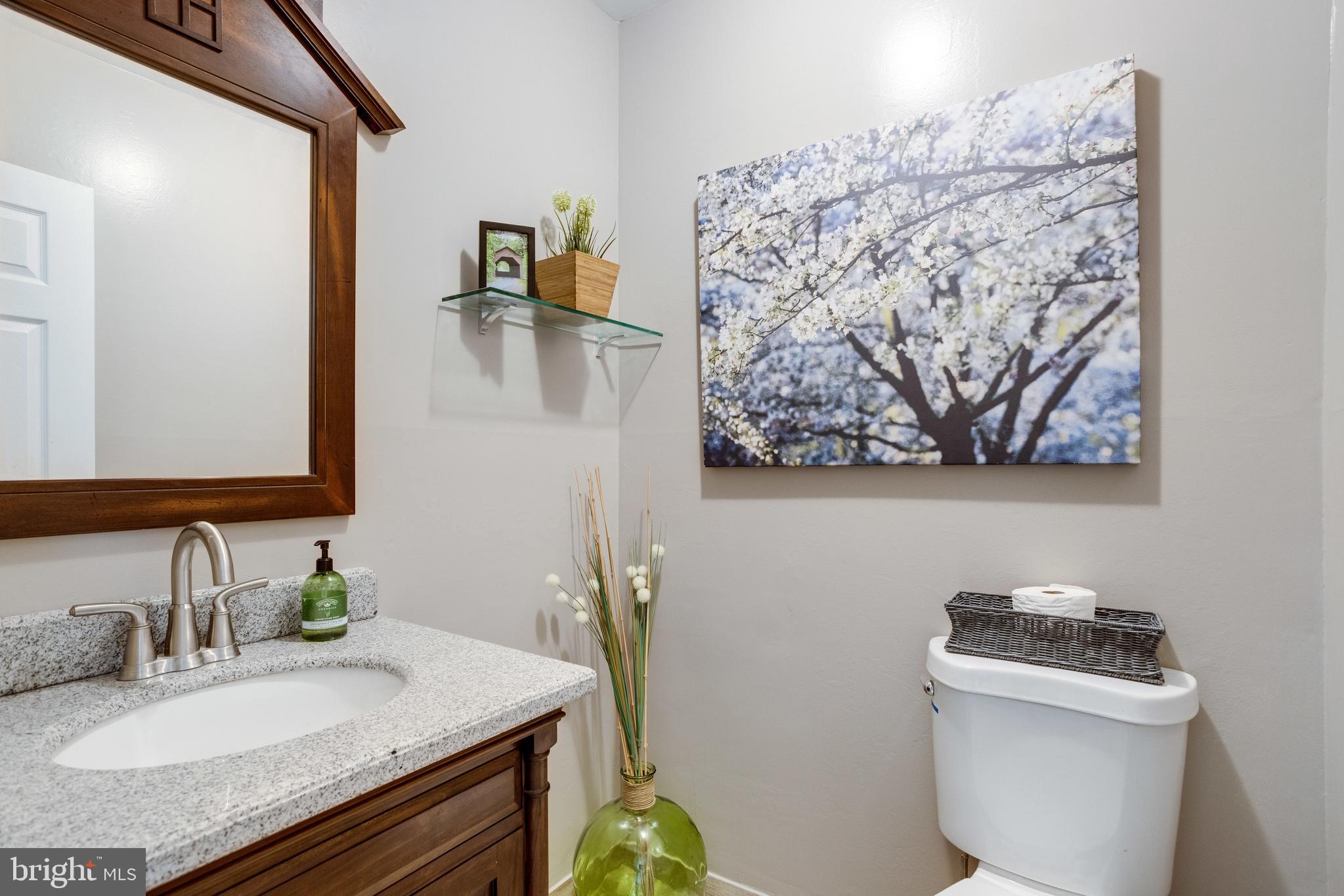 8524 Parliament Drive Springfield, VA 22151 - Photo 12 of 37 Fully Remodeled Main Level Half Bath