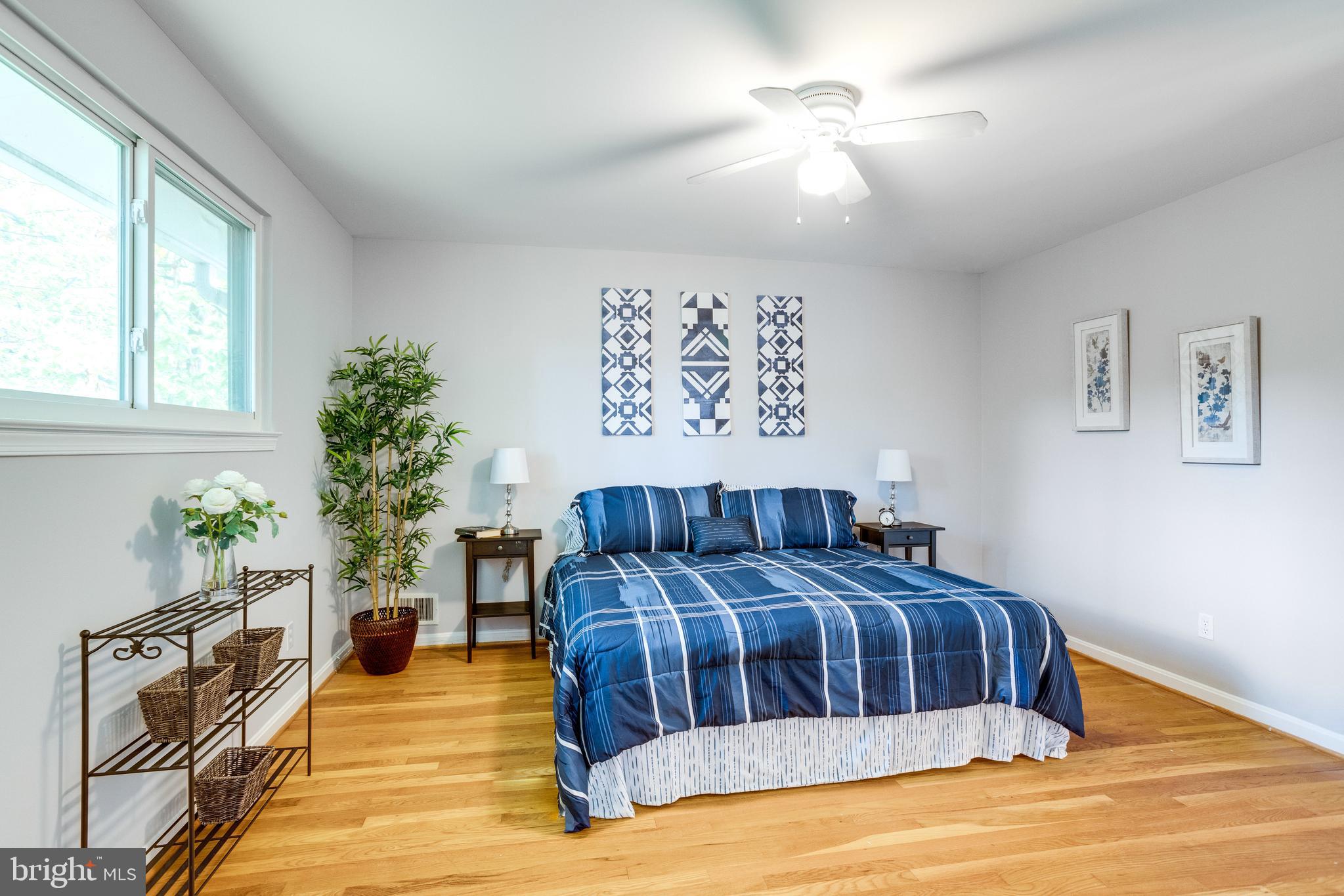 8524 Parliament Drive Springfield, VA 22151 - Photo 20 of 37 Large Primary Bedroom with EnSuite Bath