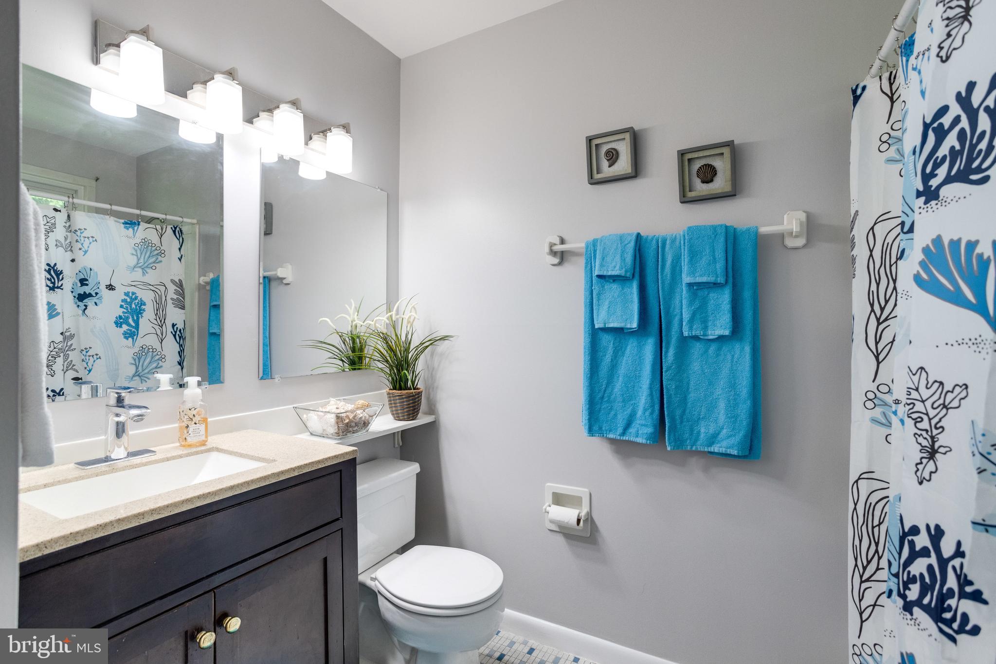 8524 Parliament Drive Springfield, VA 22151 - Photo 22 of 37 Remodeled Primary Bath