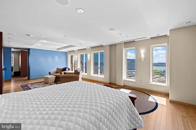 a view of a garden with a pathway