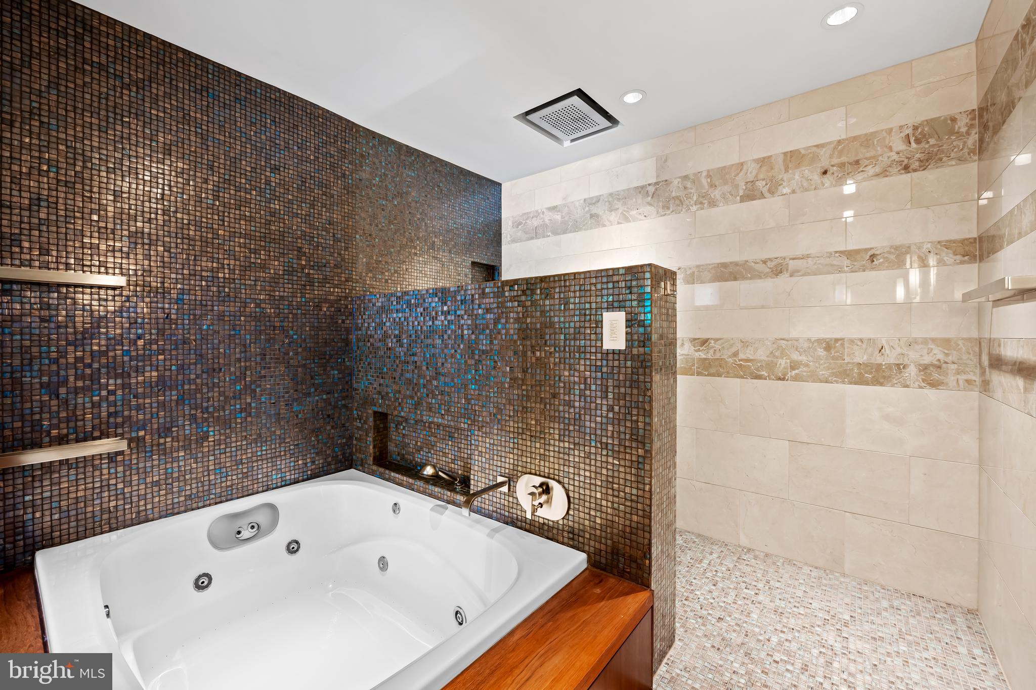 717 President Street, Unit PH802 Baltimore, MD 21202 - Photo 42 of 77 a bathroom with a bathtub and shower