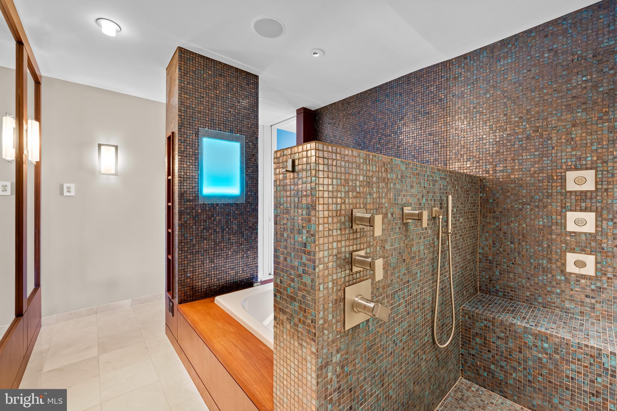 717 President Street, Unit PH802 Baltimore, MD 21202 - Photo 43 of 77 2nd floor - Primary Suite bathroom