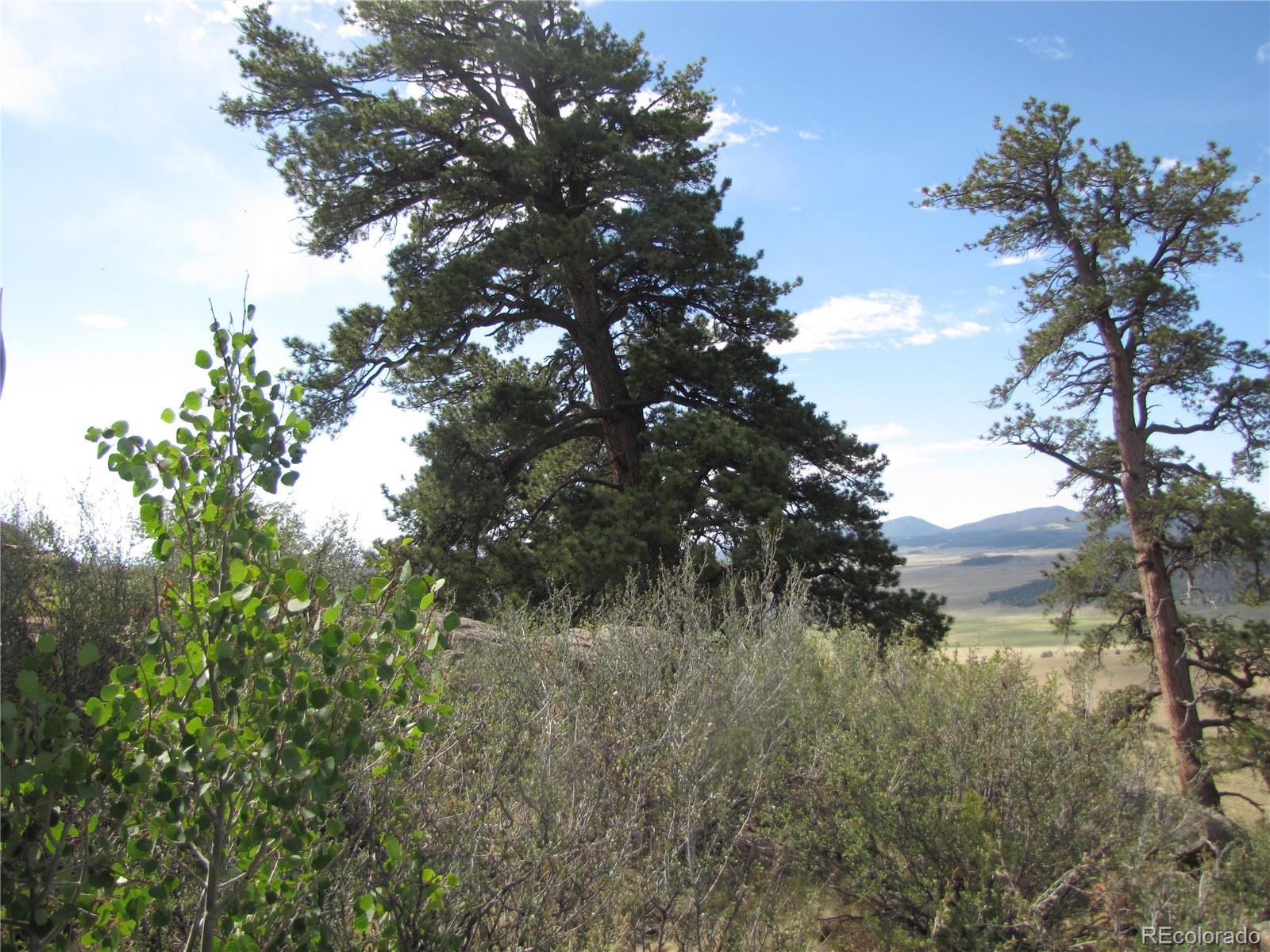 1808 Narrow Gauge Road Fairplay, CO 80440 - Photo 14 of 33 a view of a tree in a field of a tree