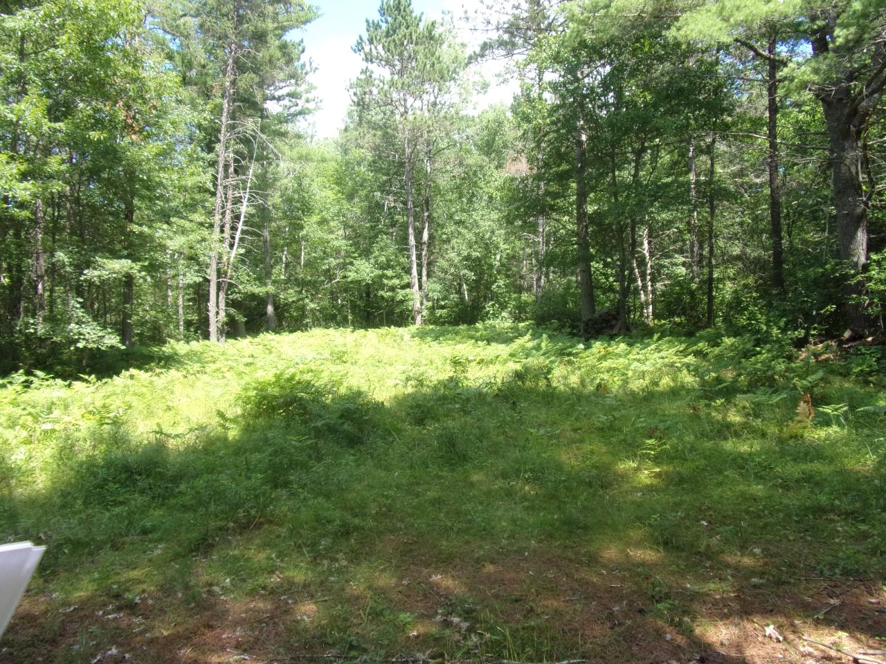 24-67 White Tail Acres Road St. Germain, WI 54558 - Photo 3 of 5 Gallery Image 3