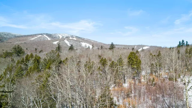 $239,000 | 2 Gold Medal Circle, Unit 2, Jamaica, VT 05343