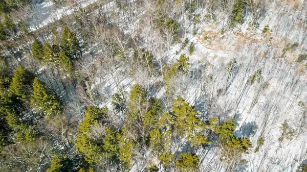 $229,000 | 2 Gold Medal Circle, Unit 2, Jamaica, VT 05343