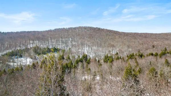 $229,000 | 2 Gold Medal Circle, Unit 2, Jamaica, VT 05343