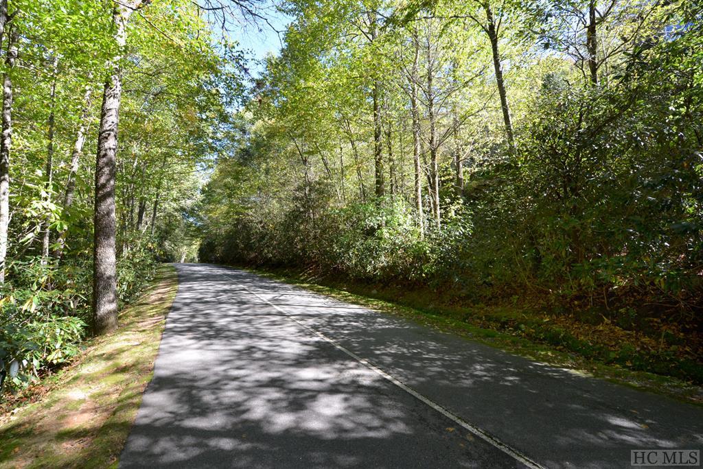 Lot #8 Falcon Ridge Highlands, NC 28741 - Photo 6 of 9 Gallery Image 6