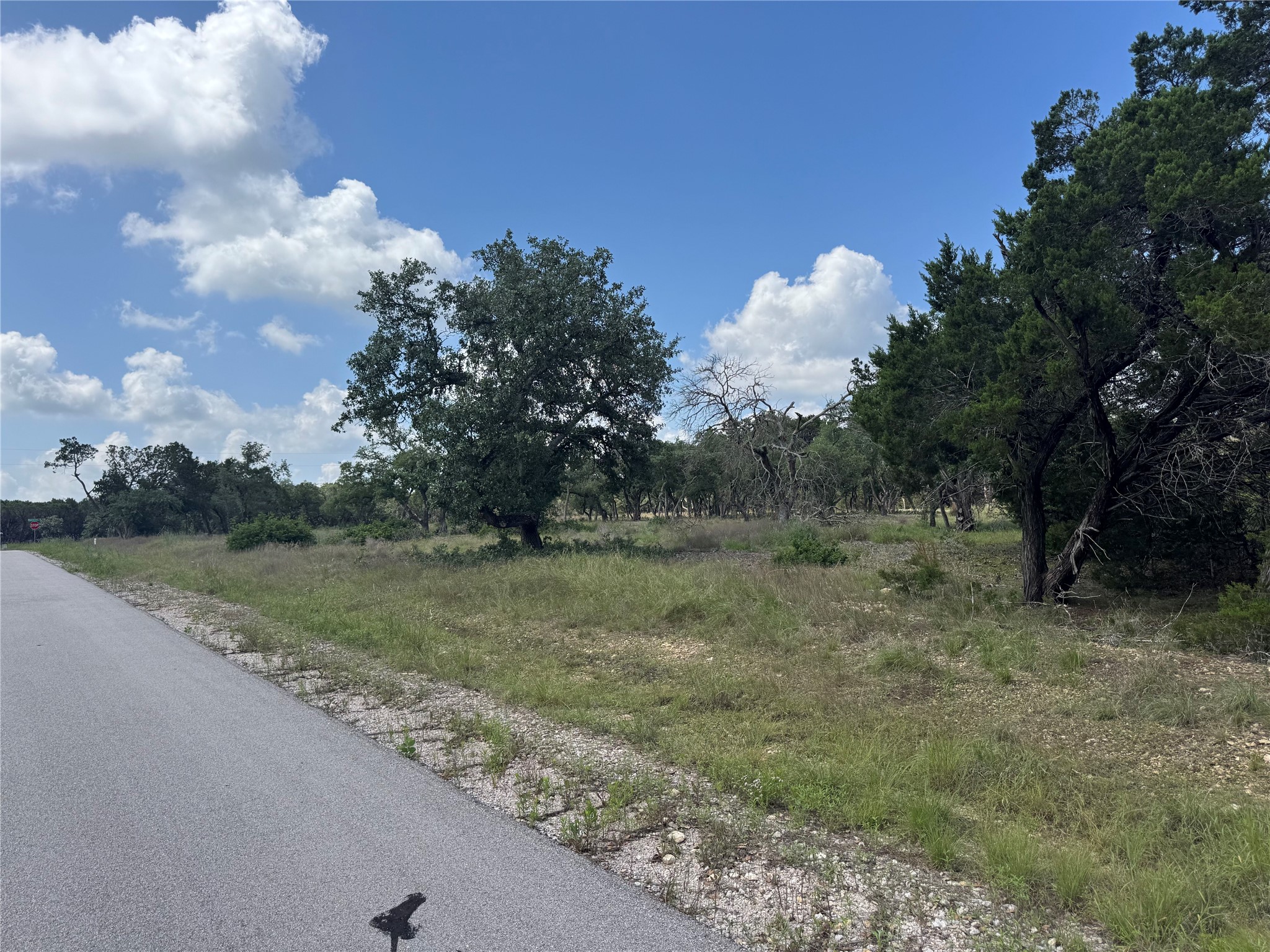 Lot 37 Riparian Elm Road Bertram, TX 78605 - Photo 11 of 13 a backyard of a house with lots of green space