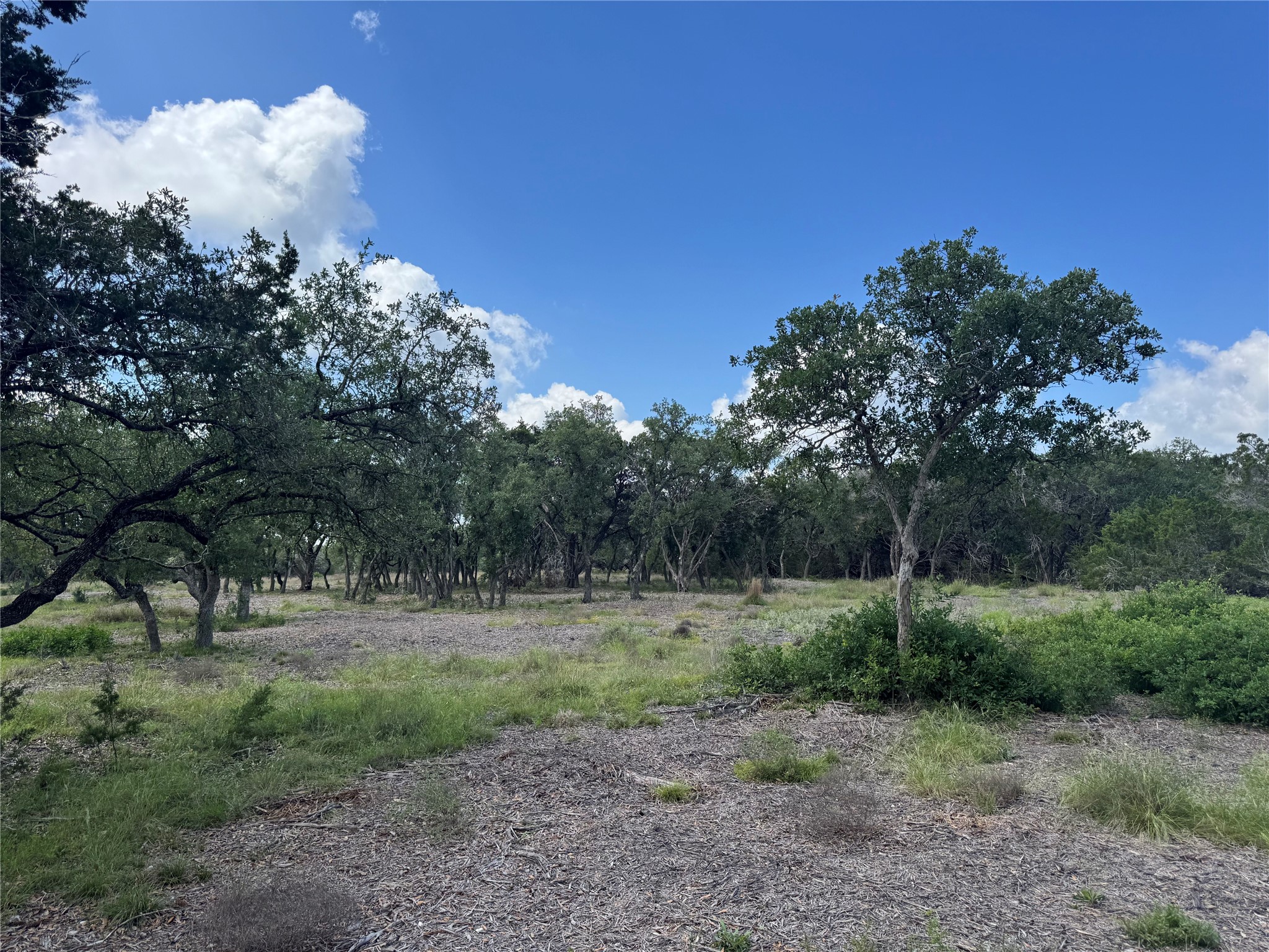 Lot 37 Riparian Elm Road Bertram, TX 78605 - Photo 9 of 13 a view of a big yard