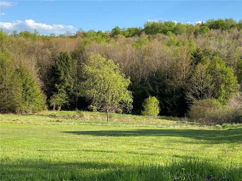 2 Laurel Avenue Kane, PA 16735 - Photo 2 of 10
