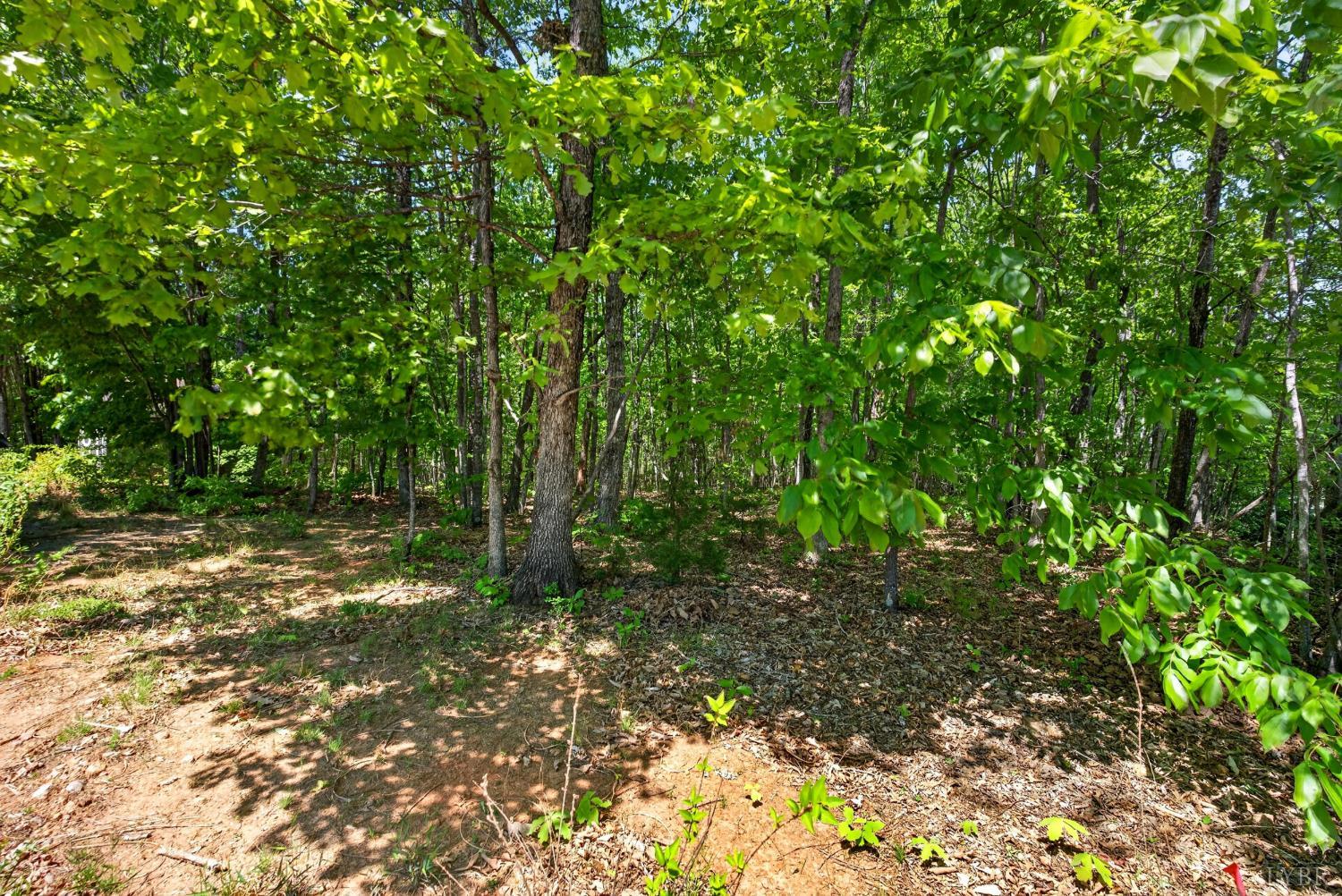 1301 Hummingbird Lane Spout Spring, VA 24593 - Photo 57 of 69