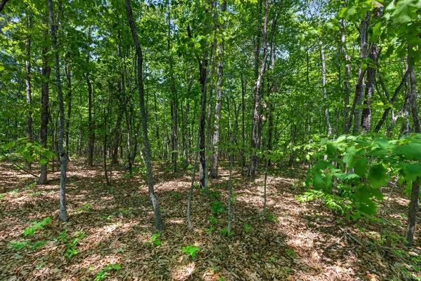 $379,999 | 1301 Hummingbird Lane, Spout Spring, VA 24593